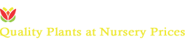 Sandy Lane Nurseries